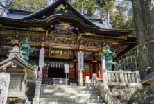 共和党战略家抨击共和党的“令人难以置信的愚蠢”举动，这可能会消灭他们